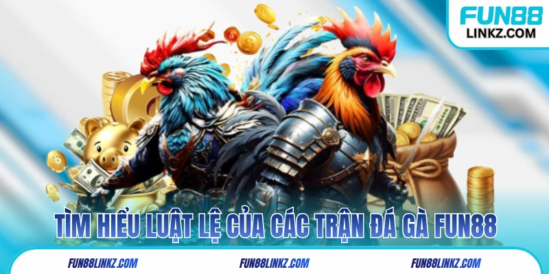 Tìm hiểu luật lệ của các trận đá gà Fun88